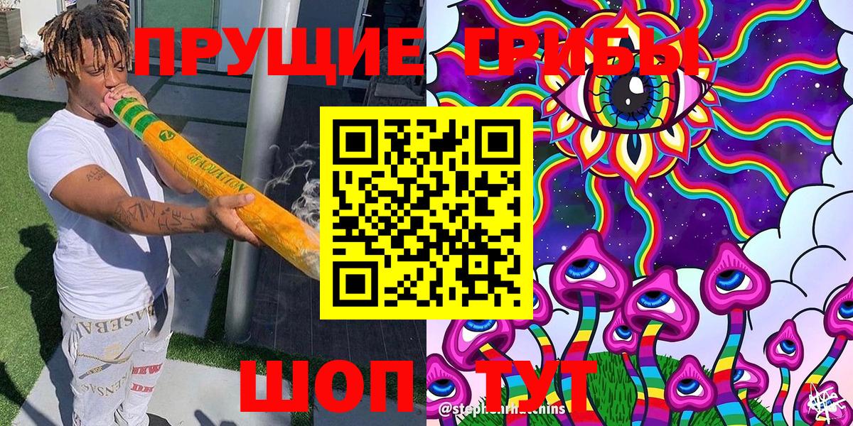 Псилоцибиновые грибы GOLDEN TEACHER  Псилоцибиновые грибы мицелий  купить наркоту  Петровск  Вход с VPN 